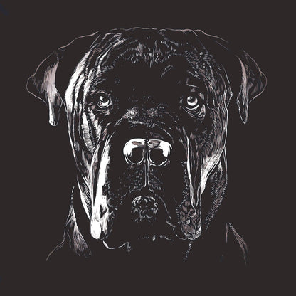 Italian Cane Corso Head Portrait T-Shirt Collection