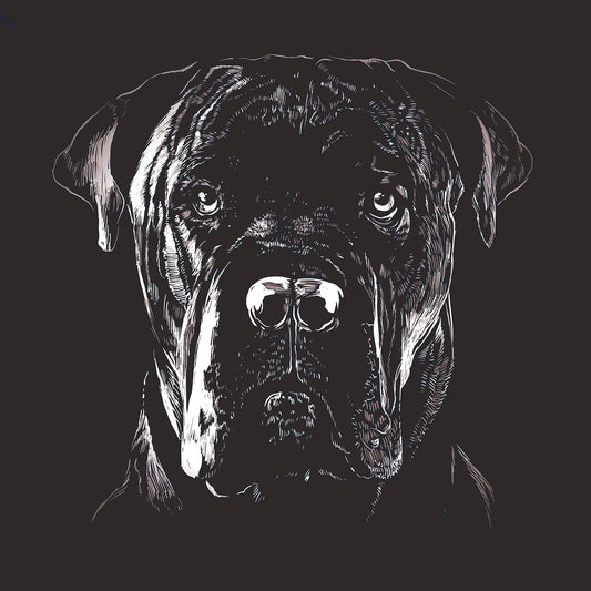 Italian Cane Corso Head Portrait T-Shirt Collection